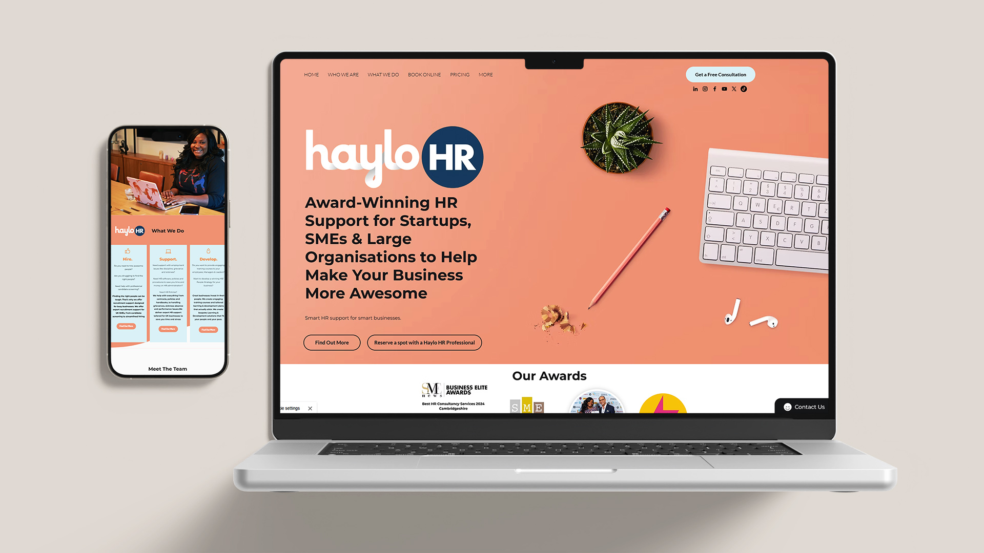 Haylo HR website on multiple devices